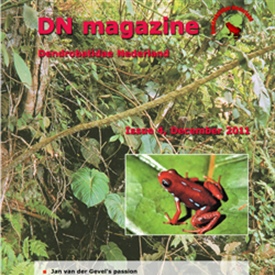DN English magazine, issue 4